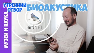 Биоакустика. Новые открытия и карманная лаборатория. Игорь Фадеев