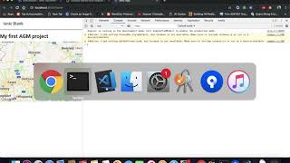 AGM - Angular Google Map module in ionic 4