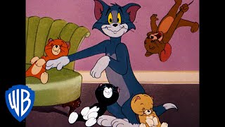 Tom y Jerry en Español | La comodidad del hogar