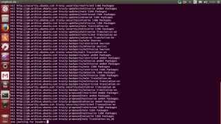 How to install Flash Player on Linux Ubuntu