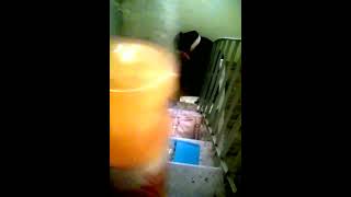 Девочка сосет в подьезде