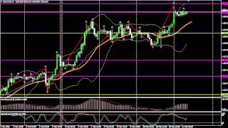 11.02.16 (11:00 MSK) - Прогноз форекс MaхiMarkets