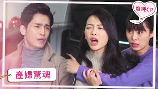 【章純CP】歷劫歸來
