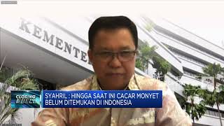 Cacar Monyet Mengancam, Kemenkes Perketat Pengawasan Pintu Masuk RI