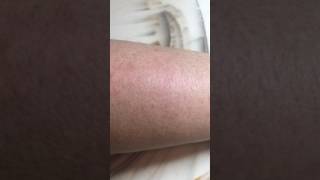 Эксперимент algeness