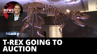 Is an actual T-Rex skeleton for sale?
