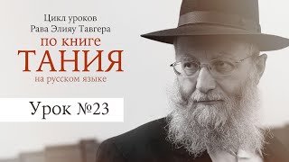 Рав Элияу Тавгер, уроки по книге "Тания". Урок №23