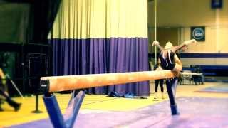 UB Purple Knights - 2014 Gymnastics