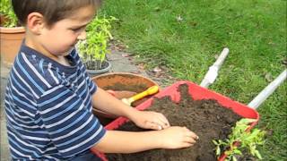 "My Kids Make" growing potatoes