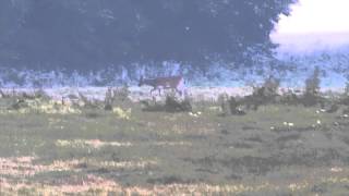 Jagt Laage 5-9-14