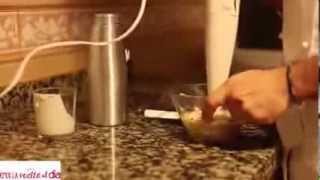 Alubias con setas y espuma de iberico I CAMPEONATO NACIONAL DEMOS LA VUELTA AL DIA