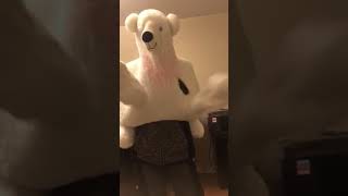 THE BEST BEAR IN TOWN|FREE PORNHUB PREMIUM ACCOUNT GIVEAWAY