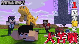 カズぽこくらシーズン3 ┃1匹の猫で大苦戦する4人衆！PART27(後編)