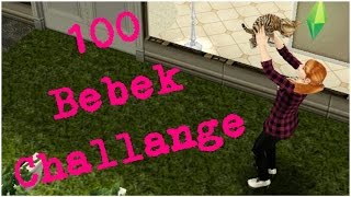 [The Sims Freeplay] - 100 Bebek Challenge #5 (Yavru Kedi)