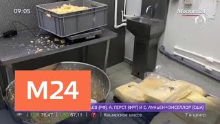 В подмосковном Рузе обнаружили 10 тонн сыра с плесенью - Москва 24