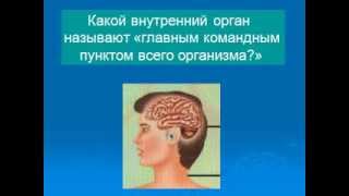 Строение тела человека