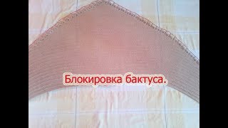 Блокировка бактуса.