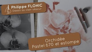 Le clair-obscur, étude d'une orchidée