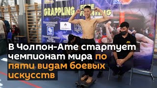 В Чолпон-Ате стартует чемпионат мира по пяти видам боевых искусств