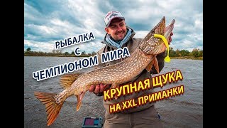 МНОГО КРУПНОЙ ЩУКИ на XXL приманки. Рыбалка с чемпионом мира!