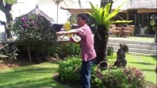 How to Play Cricket in Bali