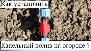 Как установить Капельный полив на огороде ?  Краткая инструкция.