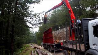 GAL FORESTRY CRANES