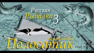 Русская рыбалка 3 99 Полосатик карликовый