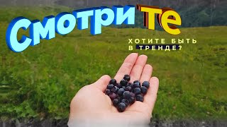 Уникальное слайдшоу c эффектом параллакс