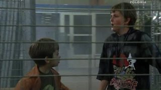 Magiczne Drzewo - Kostka