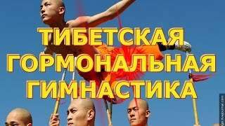 Тибетская гормональная гимнастика Массаж точек