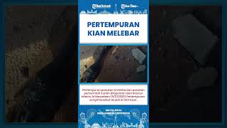 SHORT | Rekaman Pecah Perang! Amerika Serikat-Suriah Saling Gempur