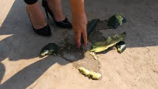 Melania's Cucumber Crush
