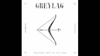 Greylag - Tiger