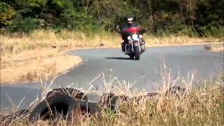 ハーレー（ビッグツイン）でミニバイクコース走行 キャピタルスポーツランド走行会