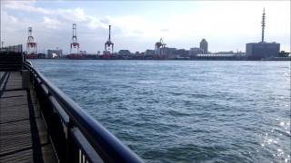 fishingmax武庫川店 【大阪港中央突堤】
