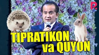 Valijon Shamshiyev - Tipratikon va Quyon hangomasi