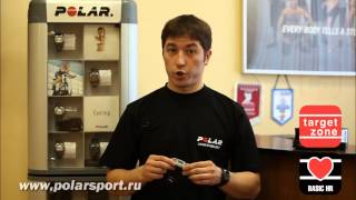Пульсометр Polar FT4