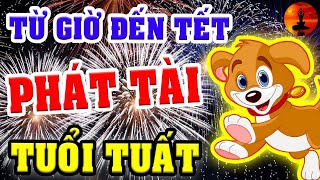 Tuổi TUẤT Từ Giờ Đến Tết 2021 Giàu Sang Đổi Đời, Hết Khổ Bất Ngờ Tiền Tỷ Trong Tay