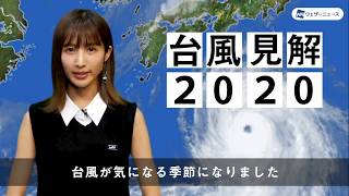 台風傾向2020