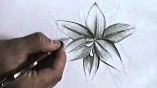 Sander Ndreca speed drawing flower