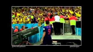 Robin Van Persie gives his captain's armband to this dedicated Dutch fan! RESPECT.