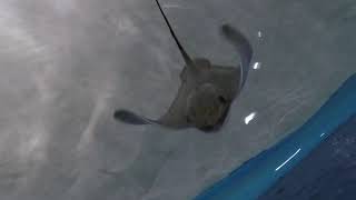 Турция 2019 | Asdem Park | Antalya Aquarium