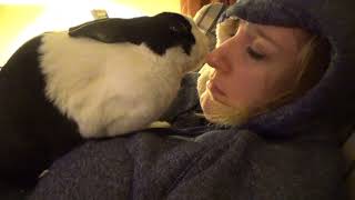 Rabbit kissing and licking girl!