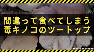 全体の7割以上!?　間違って食べてしまう毒キノコの“ツートップ”とは