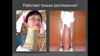Как самому быстро увеличить половой член в домашних условиях