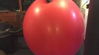 Red Climb In Balloon Play in zentai 2
