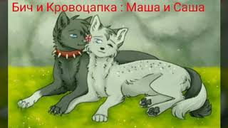 Кто ты из пар котов воителей по именам?( Пиши в комментариях!)