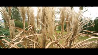 Nikon J1 + Nikkor 10mm Lens Test Footage