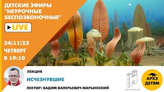Детский эфир "Исчезнувшие" курса "Неурочные беспозвоночные" с Вадимом Марьинским